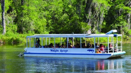 A view of the boat on the water at Wakulla Springs.