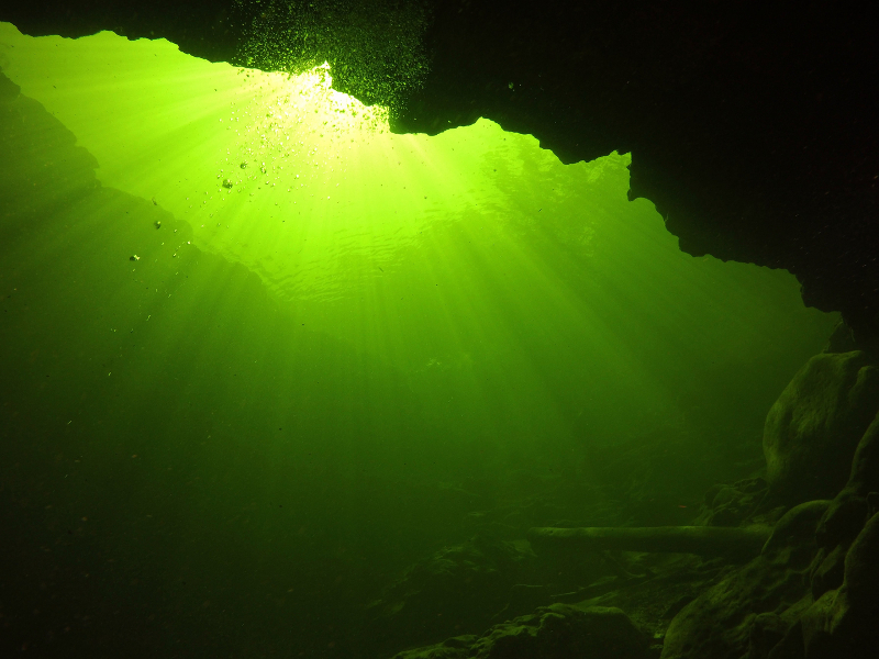 Green light shines down below the surface of troy spring.