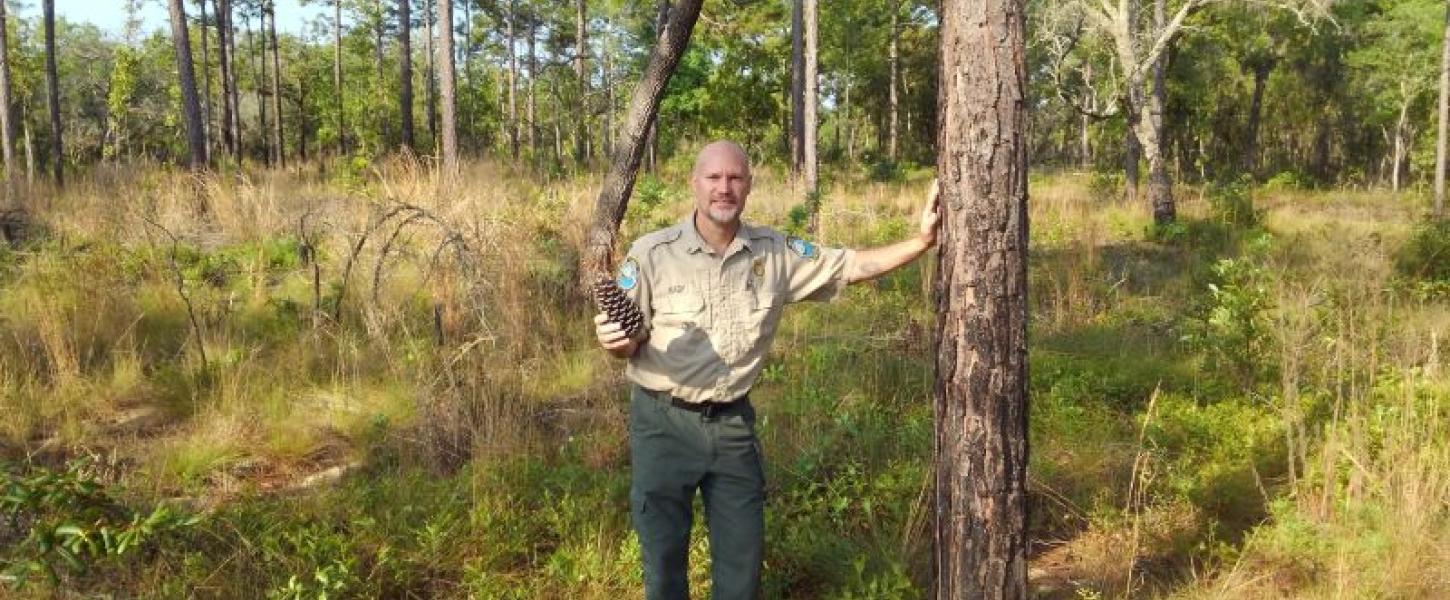 a man in uniform stands in a pine forest holding a pinecone and smiling