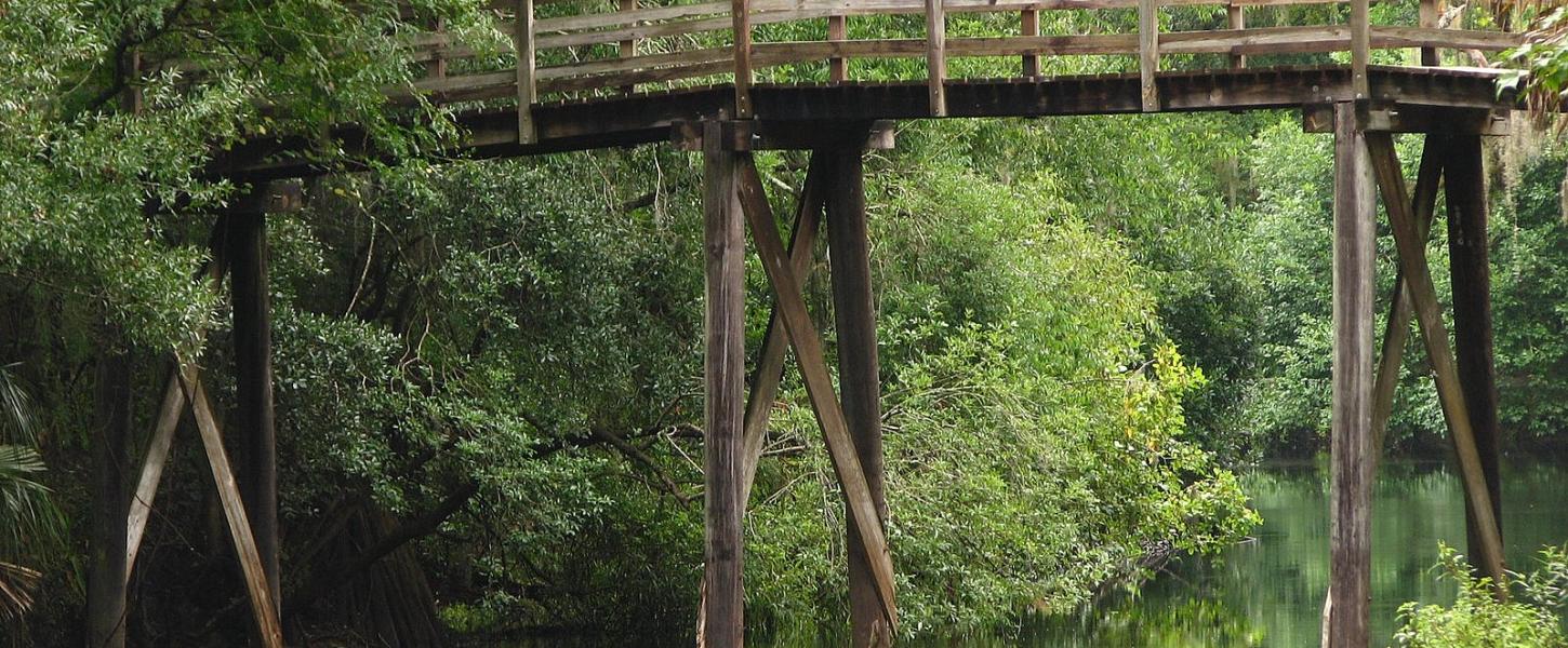 Suspension Bridge at Hillsborough River State Park