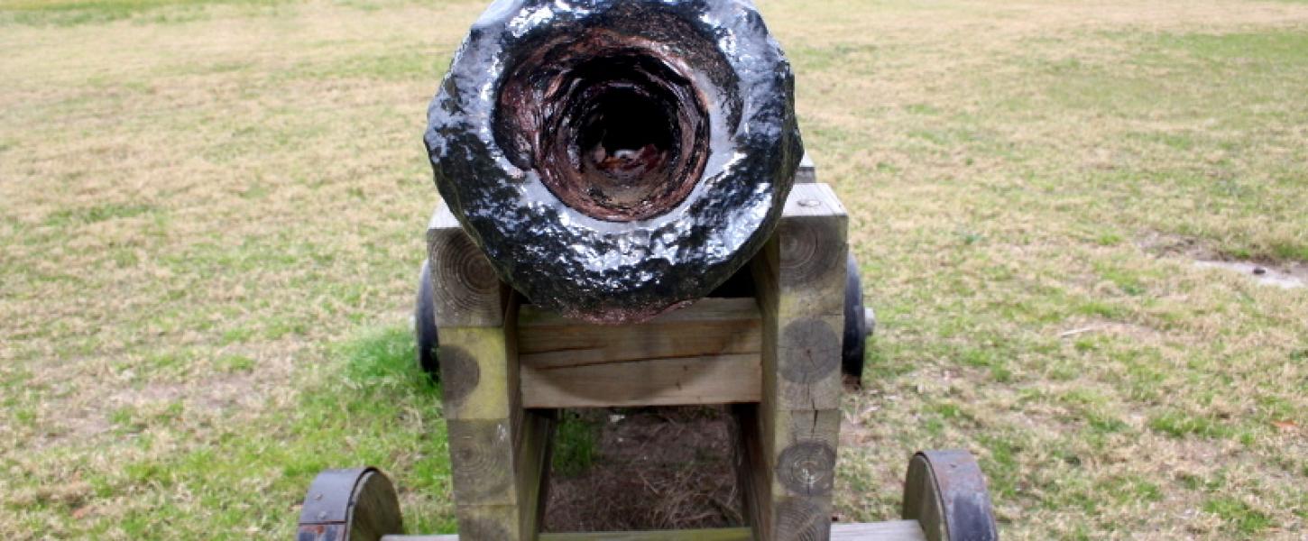 open mouth of a cannon on a grassy lot with houses behind.