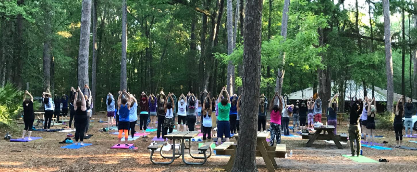 Image of park visitors stretching upwards while standing during a yoga program at Devil's Millhopper State Park.