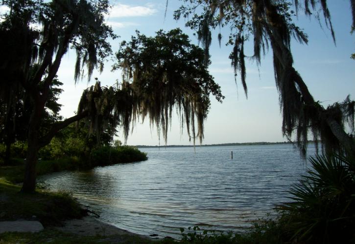 A view of Lake Manatee through the trees.