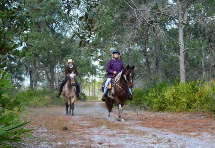 Horseback Riding at Dunns Creek