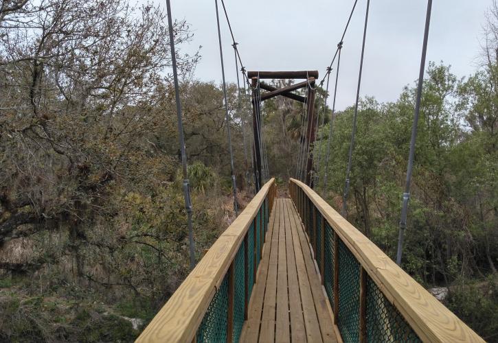 The suspension bridge over Paynes Creek.