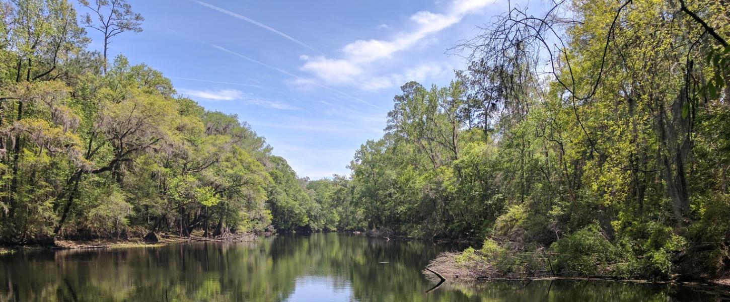 A view of the Santa Fe River at River Rise Preserve State Park. 