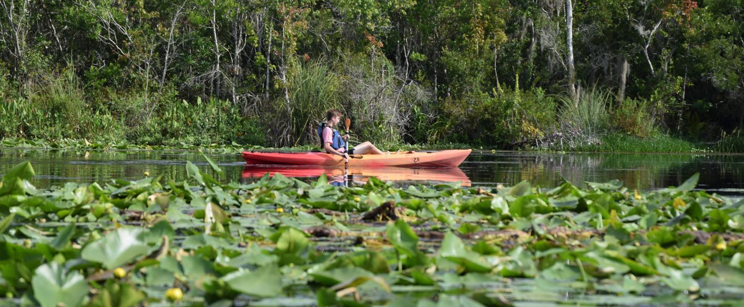 A visitor paddles a kayak in Lake Griffin State Park.