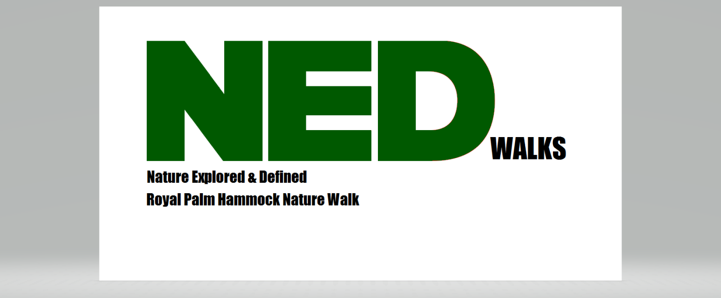 NED walks banner with green and gray letters on a white background