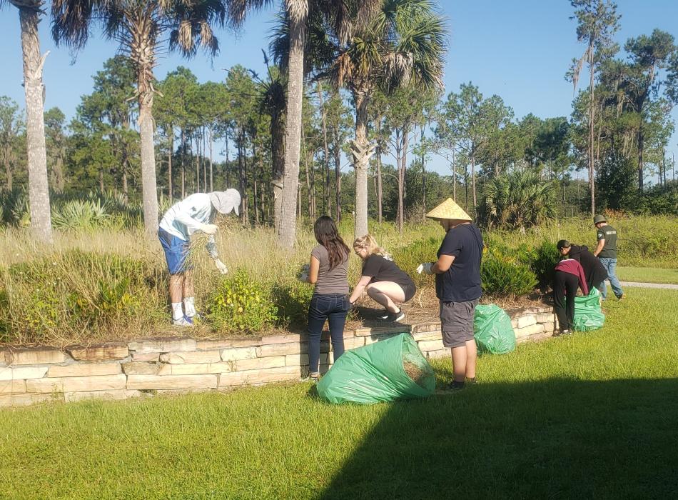 Volunteers work on the landscaping at Alafia River State Park.