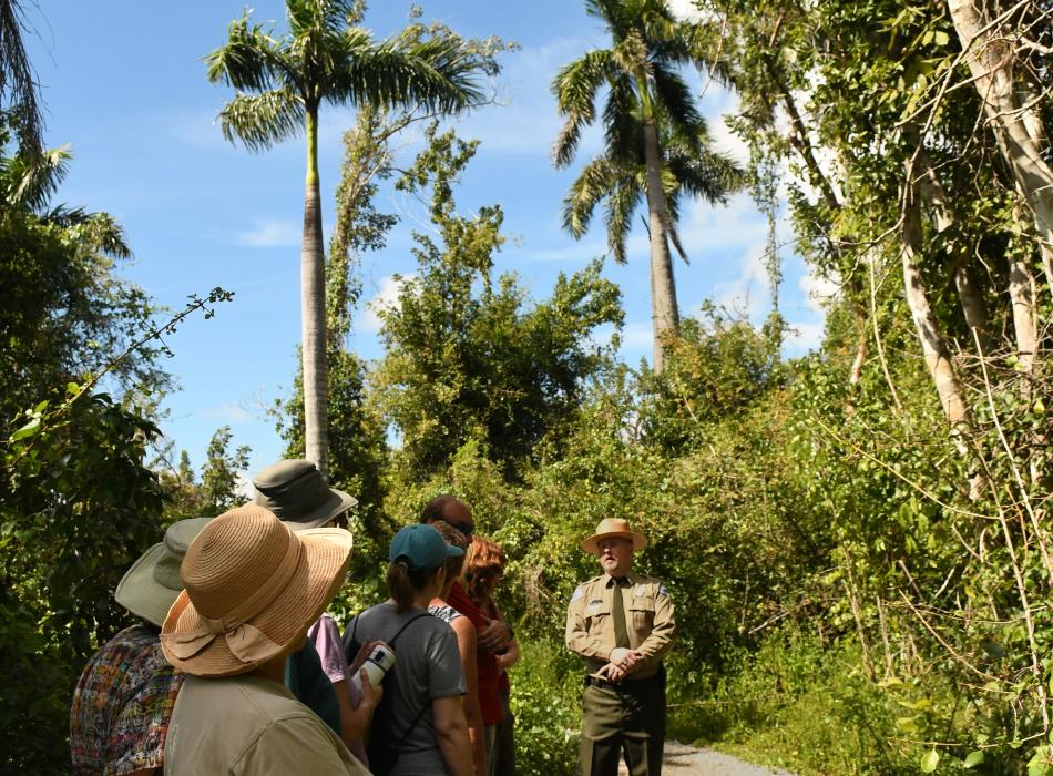 Royal Palms with park ranger and park visitors on the trail