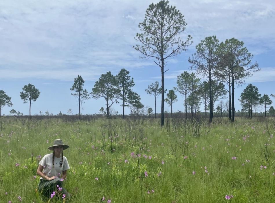 Jessica Bickell with wildflowers in a healthy pine ecosystem.