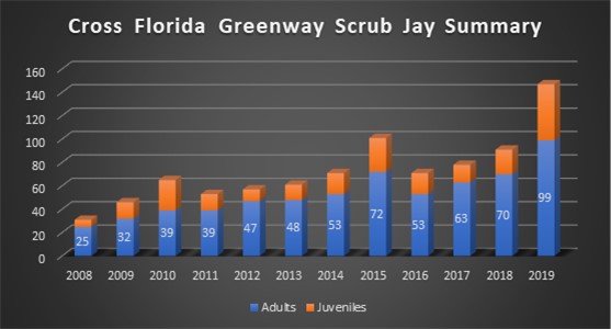 Graph demonstrates the increase of the Florida scrub-jay population between 2009 and 2019.