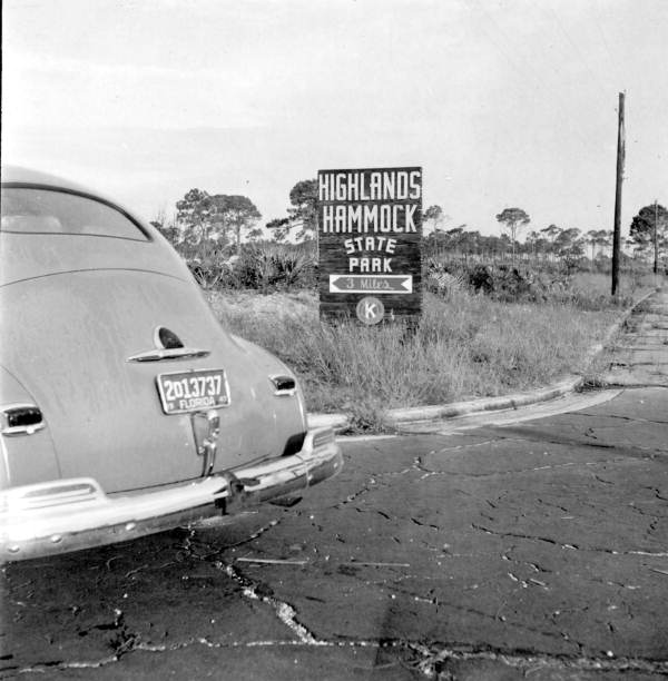 Car by the entrance to Highlands Hammock State Park, circa 1947 