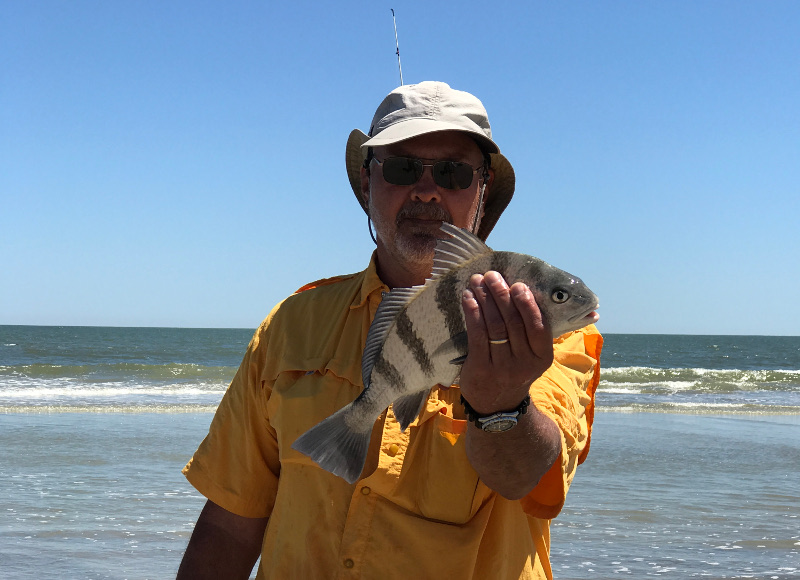 a man holds a striped fish on a beach