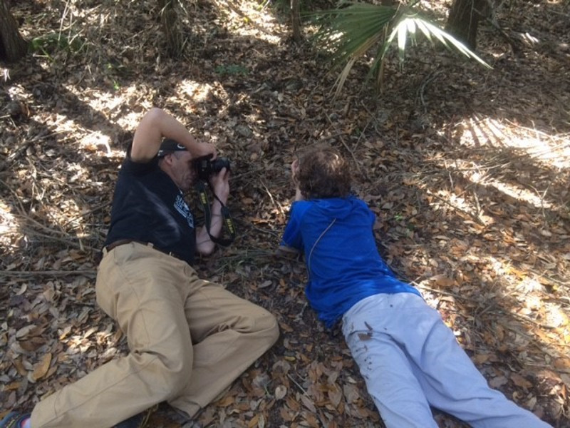 Image of two people, a man and boy, lying on the ground to take pictures of a tiny plant in the leaf litter.