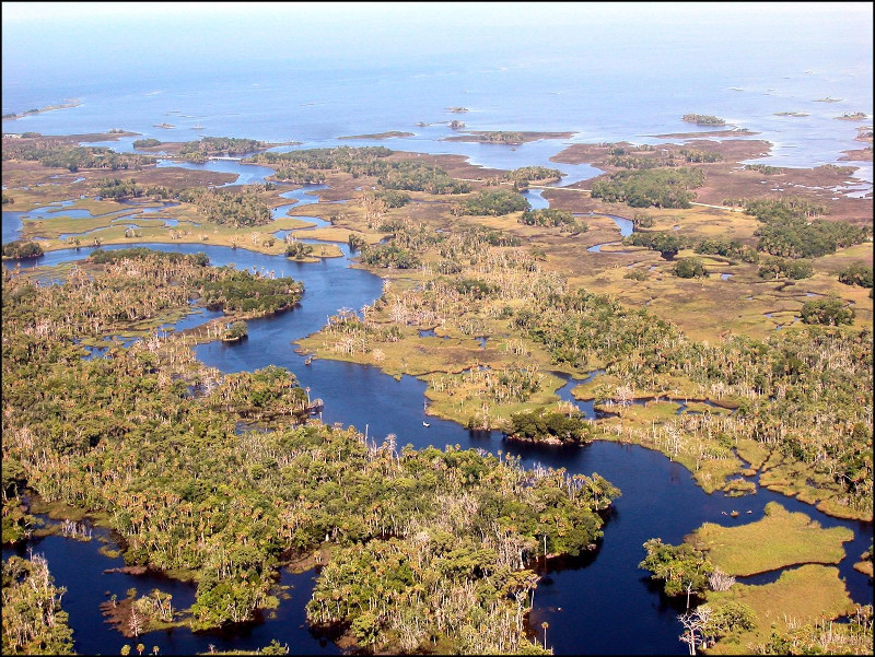 Aerial image of the crystal river estuary system, with a river seen twisting into the ocean.