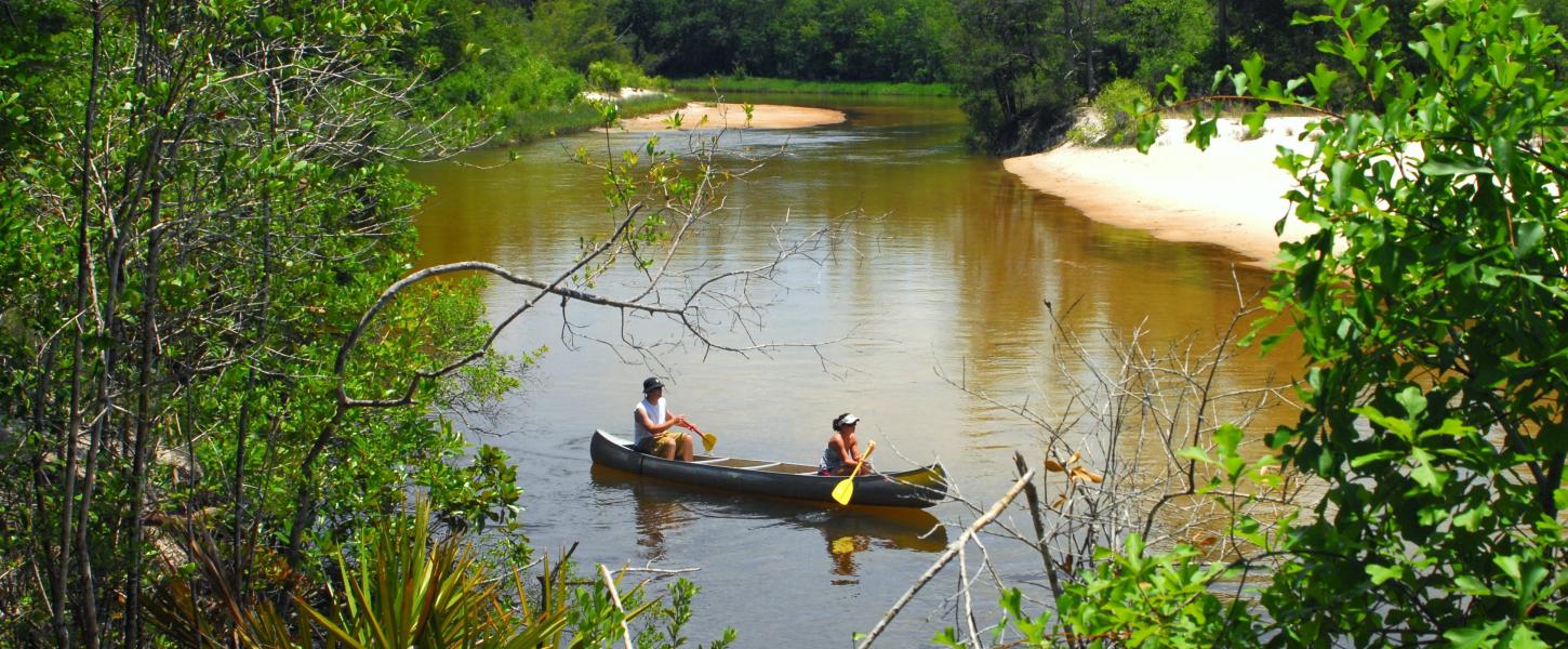 A view of visitors canoeing down the Blackwater River.