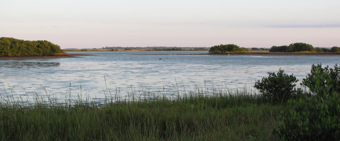 View of the marsh at Cedar Key