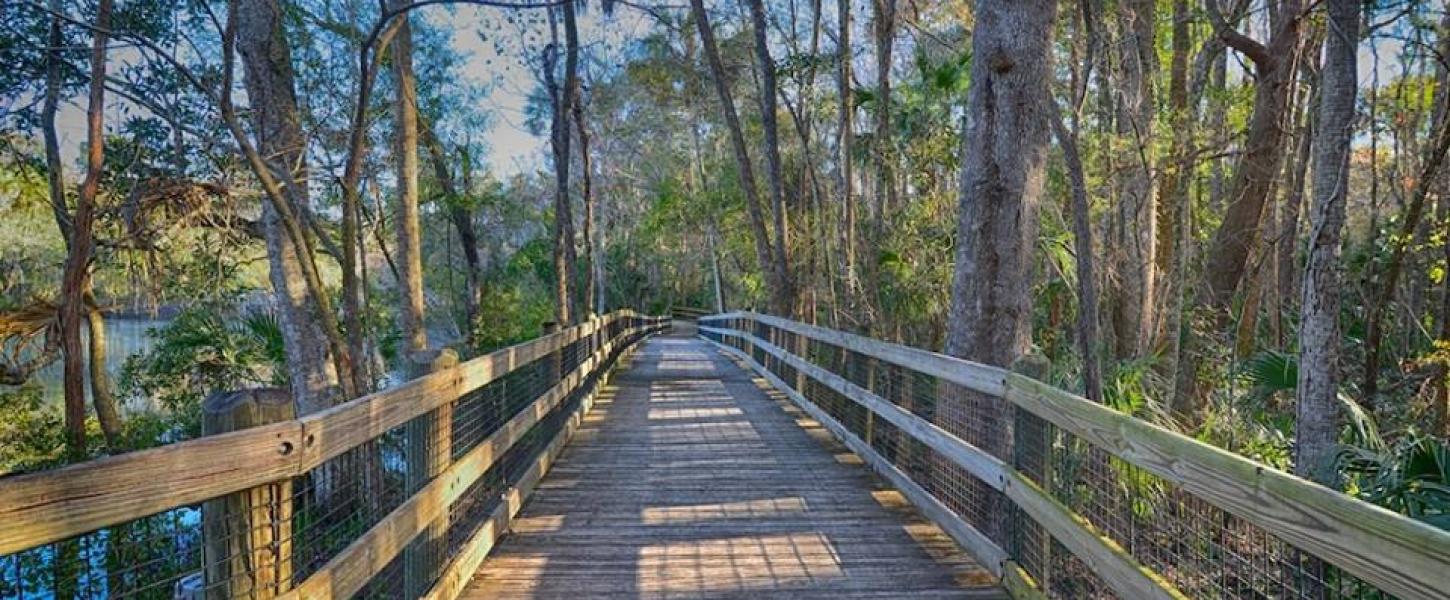 Image of the boardwalk at Homosassa Springs State Park surrounded by trees and water.