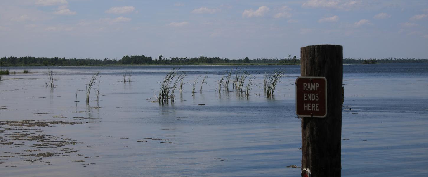 A view of Lake Seminole.