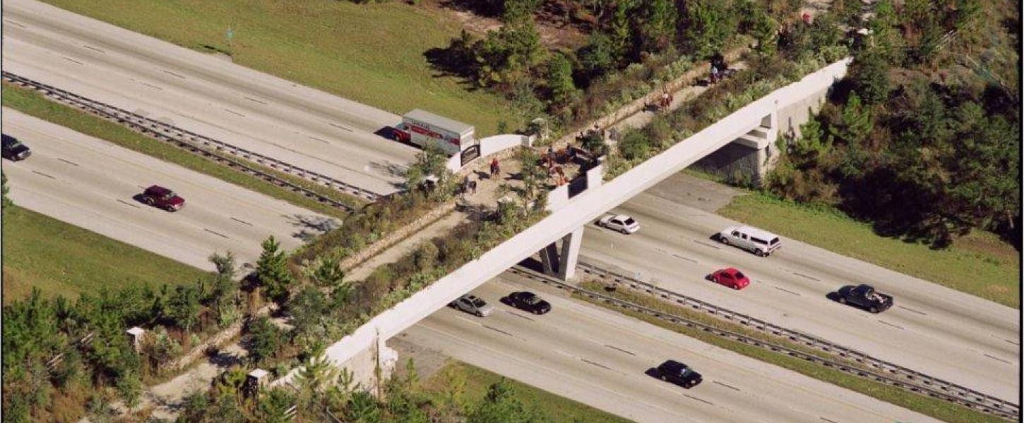 View of Landbridge from I75