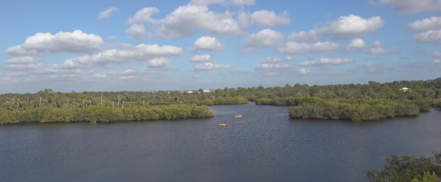 A view from the webcam at Werner-Boyce Salt Springs State Park.