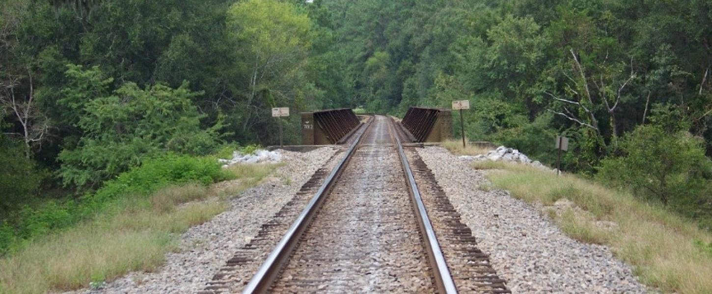 Image of railroad tracks and bridge running through Suwannee River State Park.