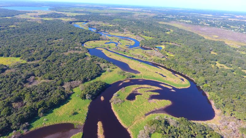 A top down view of Myakka River State Park