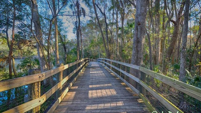 Image of the boardwalk at Homosassa Springs State Park surrounded by trees and water.