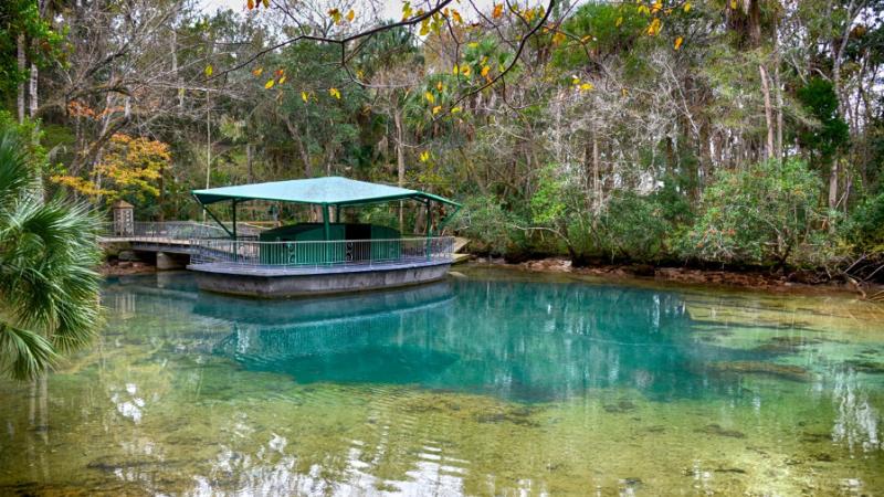 Image of the underwater observatory and first magnitude springs at Homosassa Springs State Park.