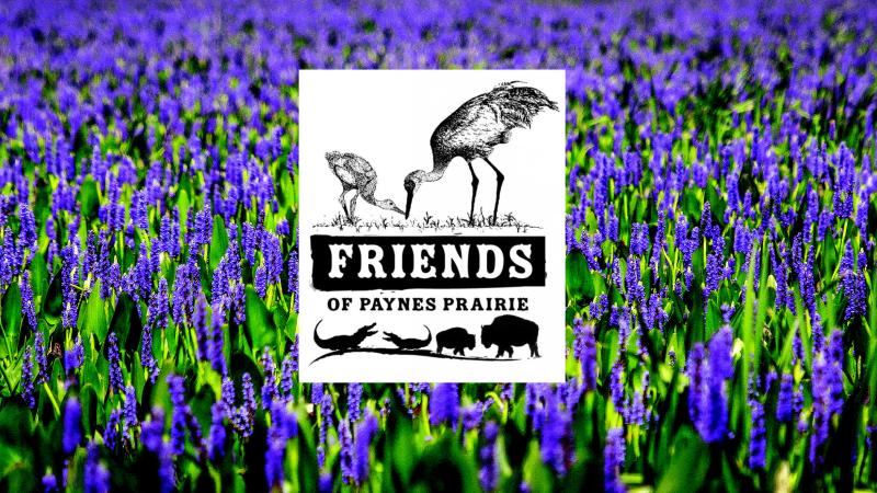Friends of Paynes Prairie Preserve State Park