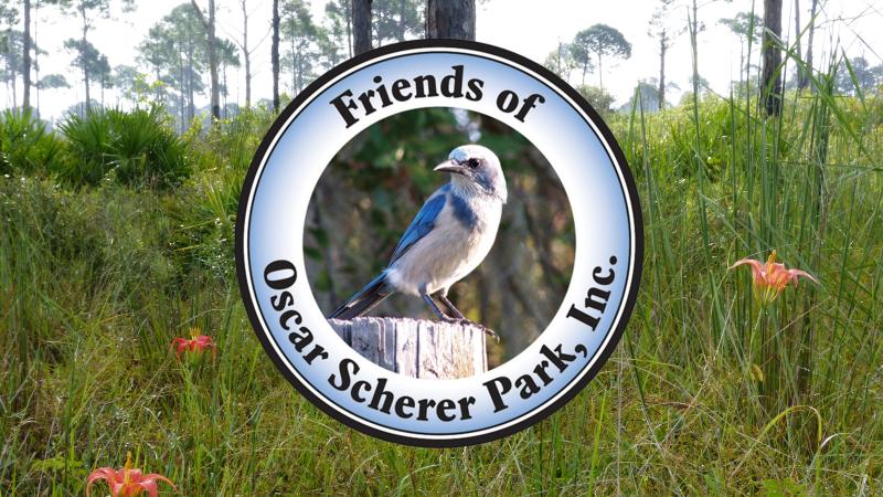 Friends of Oscar Scherer State Park