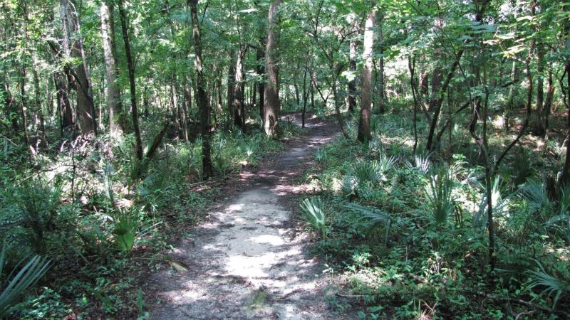 Nature Trail at Madison Blue