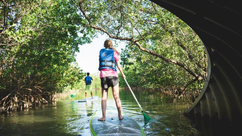 Stand up Paddleboarders paddle through Oleta River