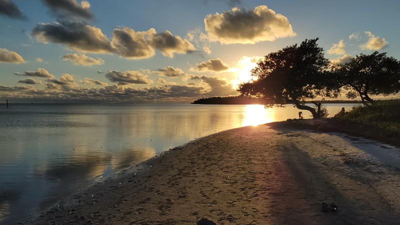 Beach views at Curry Hammock