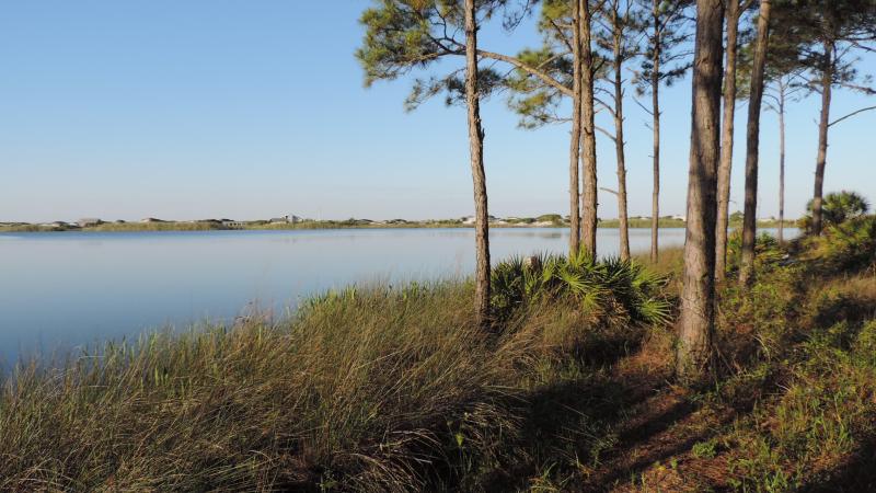 Friends of Grayton Beach State Park and Deer Lake State Parks