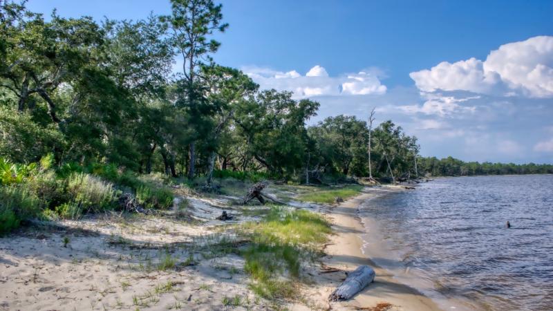 Wet-prairie landscapes surround a picturesque coastal bayou teeming with rare plant and animal species