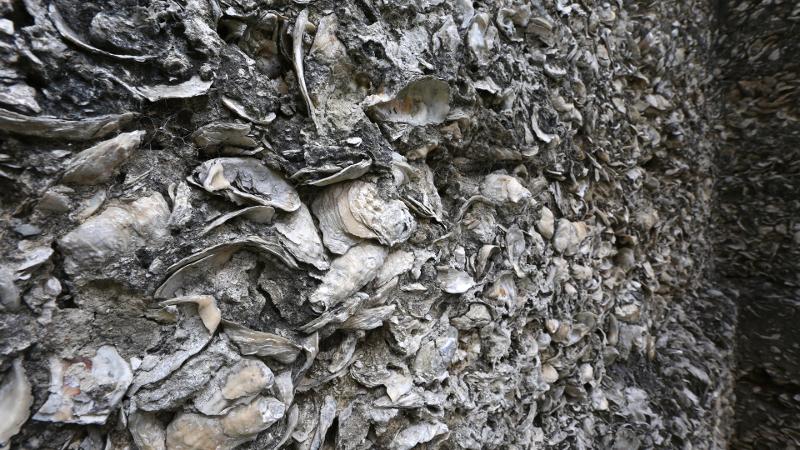 close up image of a concrete shell mix wall