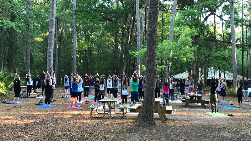 a large group of people do a yoga pose underneath a canopy of trees