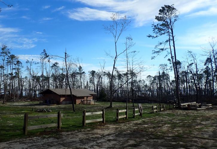 A current view of the group camp, post hurricane recovery efforts.