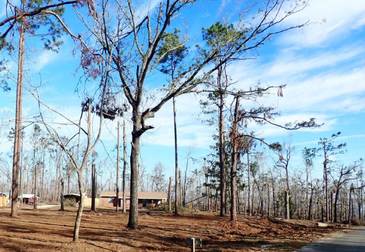 A current view of the Park Manager Residence post hurricane cleanup efforts.