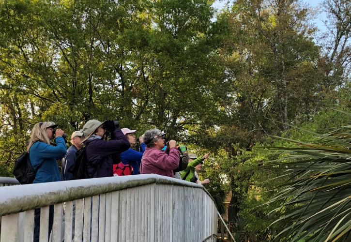 Visitors looking for birds on bridge