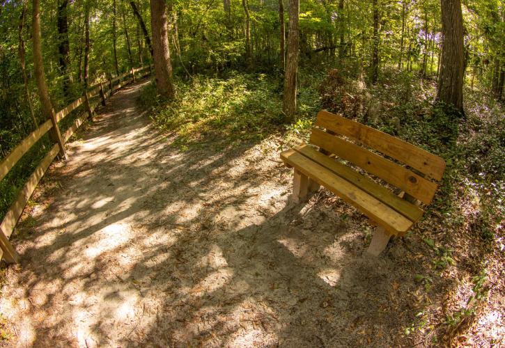 A photo of a trail bench in Devil's Millhopper 