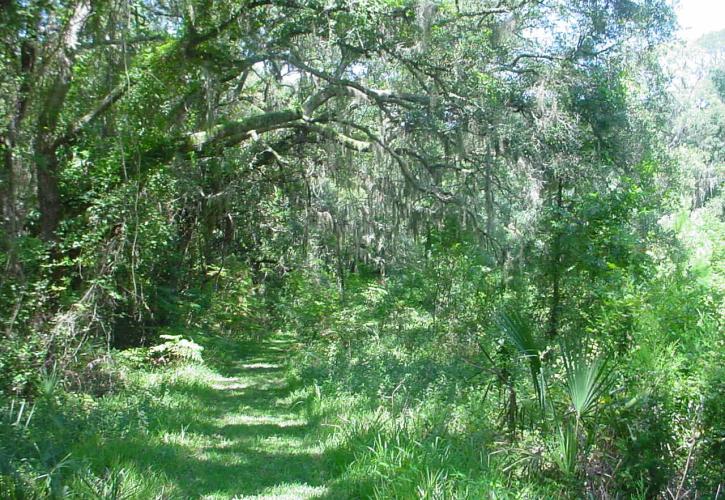 Cornelia Trail at Fort George Island
