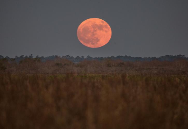 image of a red-tinted moon rising over paynes prairie.