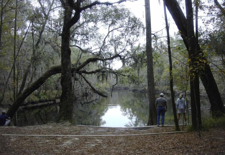 River Rise Preserve