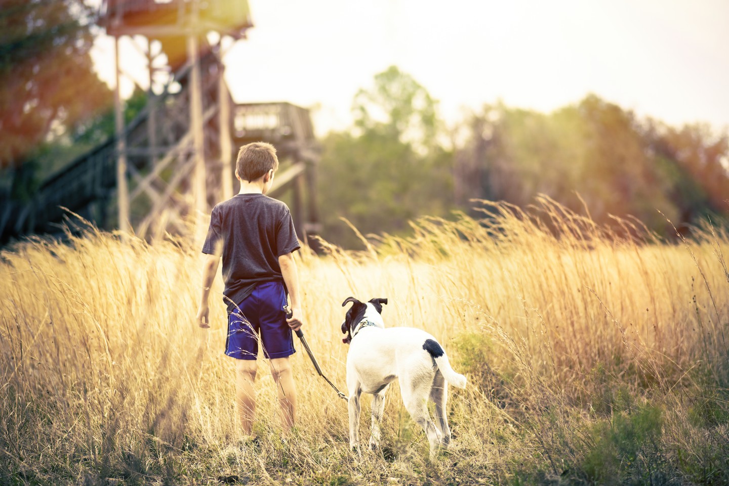 A boy enjoying Lake Kissimmee State Park with his dog