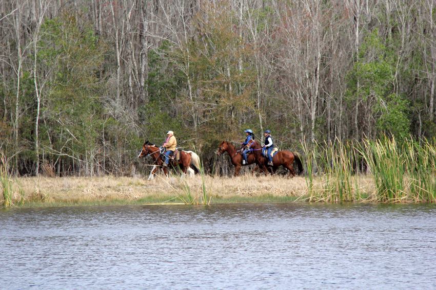 Four horseback riders 