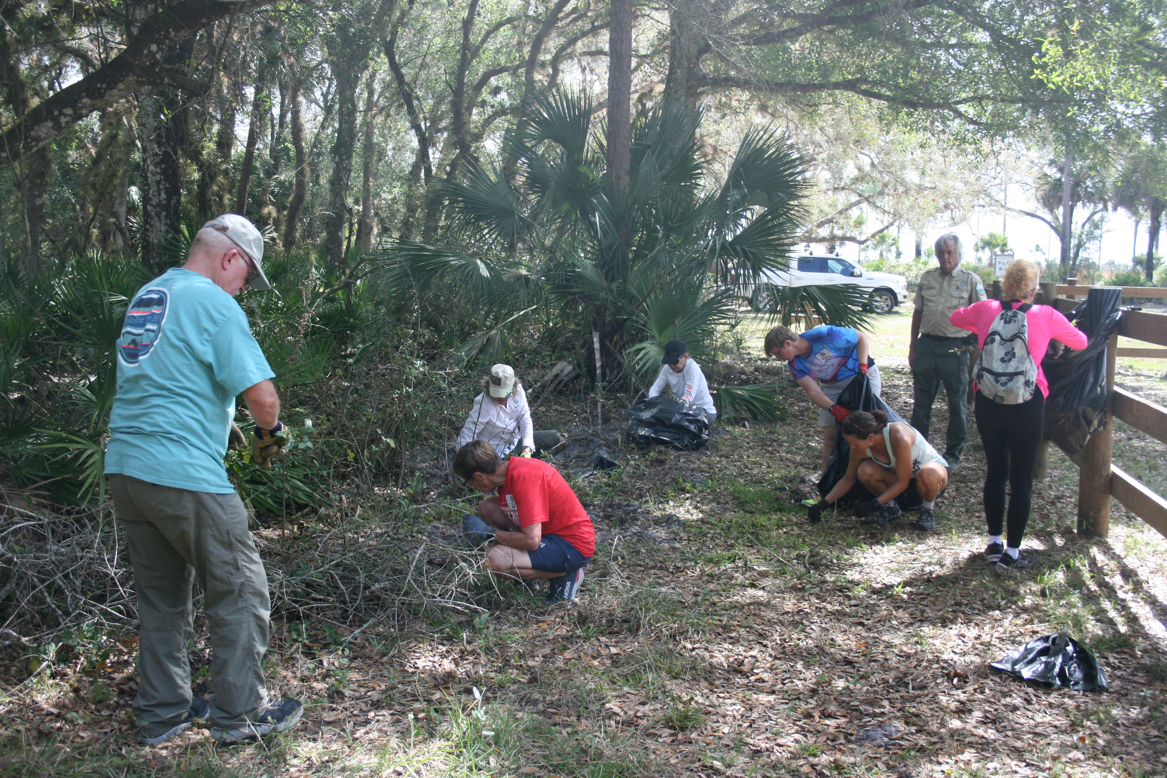 Volunteers remove exotic plants at the park.