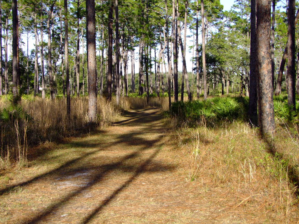 Trail at Dade Battlefield
